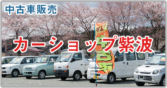 カーショップ紫波