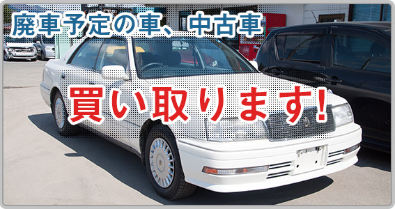 廃車、中古車買い取ります